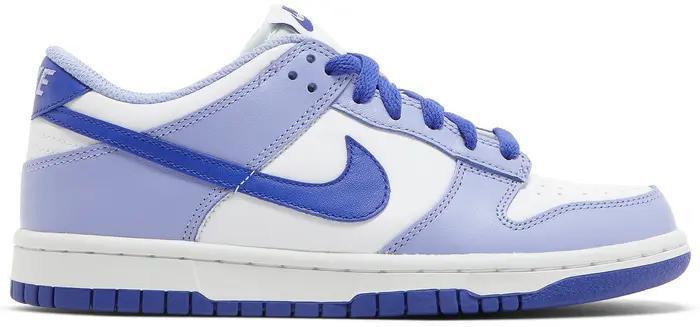 Nike Dunk Low GS " Blueberry" DZ4456-100