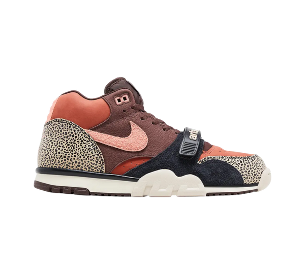 Nike SB Air Trainer Low "Art-Recs 'For Recreational Use" IF0501-200